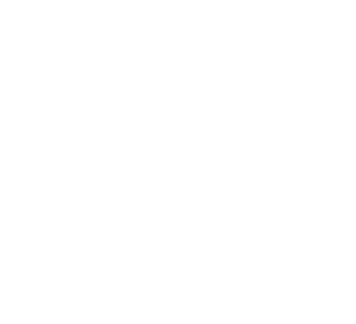 Don Oscar Pizza Logo Honduras Tegucigalpa La Kennedy Blanco con banderin